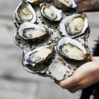 Tasmanian Oyster Co