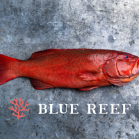 Blue Reef